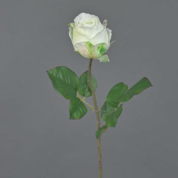 Flor artificial decorativa POPI, blanco-verde, 55 cm, Ø 7 cm Flor artificial decorativa POPI, blanco-verde, 55 cm, Ø 7 cm