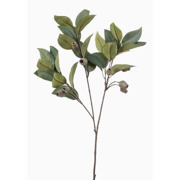 Rama artificial de eucalipto VIZIMIR con frutos, verde, 80 cm Rama artificial de eucalipto VIZIMIR con frutos, verde, 80 cm