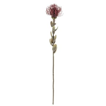 Flor decorativa para alfiletero Protea URMINE, aspecto seco, rojo burdeos, 60 cm, Ø 9 cm