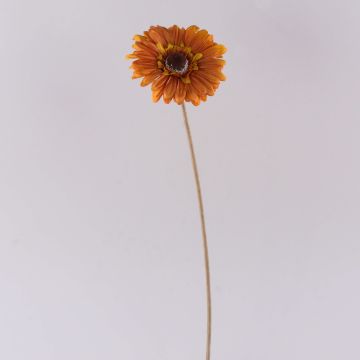 Flor decorativa Gerbera TUNGUSKA, aspecto seco, naranja, 55 cm, Ø 11 cm Flor decorativa Gerbera TUNGUSKA, aspecto seco, naranja, 55 cm, Ø 11 cm