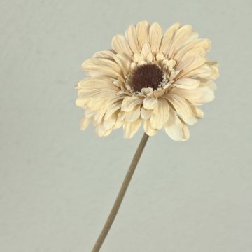 Flor decorativa Gerbera TUNGUSKA, aspecto seco, crema-beige, 55 cm, Ø 11 cm