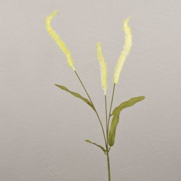 Rama de liriope artificial JELIKANTA con panículas, verde crema, 60 cm Rama de liriope artificial JELIKANTA con panículas, verde crema, 60 cm