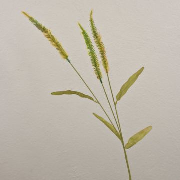 Rama de liriope de césped artificial JELIKANTA con panículas, verde-marrón, 60 cm Rama de liriope de césped artificial JELIKANTA con panículas, verde-marrón, 60 cm