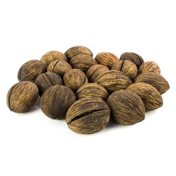 Pequeño juego de frutas KARABO (Cerbera Odollam), beige-marrón, 20 piezas, 5x6cm