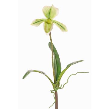 Orquídea Paphiopedilum decorativa VELANA, con soporte, verde-blanco, 40cm