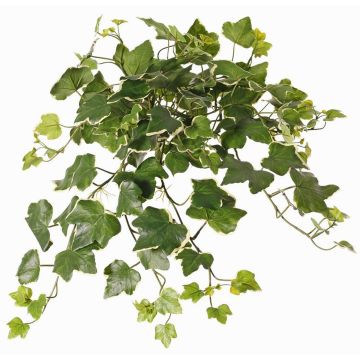 Hiedra sintética colgante ARJANA, varilla, crossdoor, verde-blanco, 50cm Hiedra sintética colgante ARJANA, varilla, crossdoor, verde-blanco, 50cm