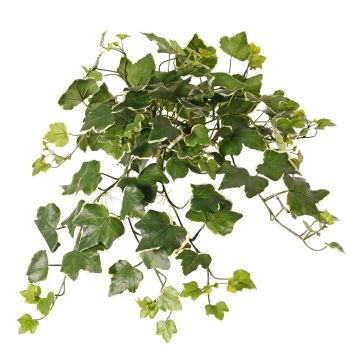 Hiedra artificial colgante ARJANA, varilla, crossdoor, verde y blanco, 50 cm Hiedra artificial colgante ARJANA, varilla, crossdoor, verde y blanco, 50 cm