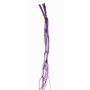 Ramas decorativas de Mitsumata GERY, 3 unidades, secas, violeta, 105cm Ramas decorativas de Mitsumata GERY, 3 unidades, secas, violeta, 105cm