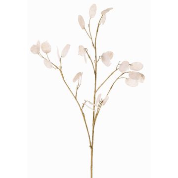 Rama artificial de lunaria KONIA, color crema, 95cm Rama artificial de lunaria KONIA, color crema, 95cm