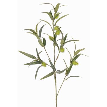 Rama artificial de euforbia globosa TASMIN, con frutos, verde, 95cm Rama artificial de euforbia globosa TASMIN, con frutos, verde, 95cm