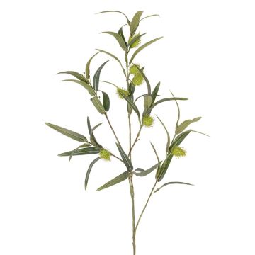Rama artificial de euforbia globosa TASMIN, con frutos, verde, 95 cm Rama artificial de euforbia globosa TASMIN, con frutos, verde, 95 cm