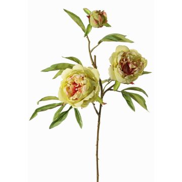 Rama artificial de peonía MANJA, verde-fucsia, 70cm, Ø8-10cm