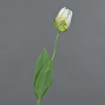 Flor textil tulipán de loro UAKARI, blanco-verde, 65 cm, Ø 6 cm Flor textil tulipán de loro UAKARI, blanco-verde, 65 cm, Ø 6 cm
