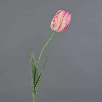 Flor textil «Tulipán de loro» UAKARI, rosa-crema-verde, 65 cm, Ø 6 cm Flor textil «Tulipán de loro» UAKARI, rosa-crema-verde, 65 cm, Ø 6 cm