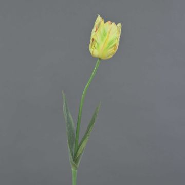 Flor textil «Tulipán de loro» UAKARI, amarillo-verde-rosa, 65 cm, Ø 6 cm Flor textil «Tulipán de loro» UAKARI, amarillo-verde-rosa, 65 cm, Ø 6 cm