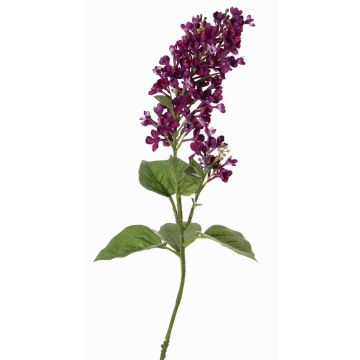 Rama artificial de lila ADMIR, violeta oscuro, 80cm, Ø6-9cm Rama artificial de lila ADMIR, violeta oscuro, 80cm, Ø6-9cm