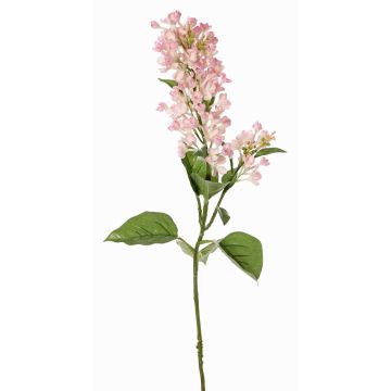 Rama artificial de lila ADMIR, rosa-crema, 80cm, Ø6-9cm Rama artificial de lila ADMIR, rosa-crema, 80cm, Ø6-9cm