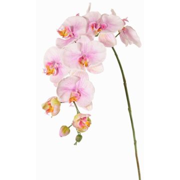 Rama de flores artificial de orquídea Phalaenopsis WESA, rosa y blanco, 90 cm, Ø 11-12,5 cm Rama de flores artificial de orquídea Phalaenopsis WESA, rosa y blanco, 90 cm, Ø 11-12,5 cm