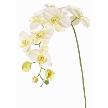 Rama de flores artificial de orquídea Phalaenopsis WESA, blanco-verde, 90 cm, Ø 11-12,5 cm Rama de flores artificial de orquídea Phalaenopsis WESA, blanco-verde, 90 cm, Ø 11-12,5 cm