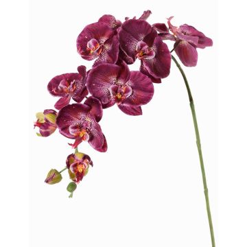 Rama de flores artificial de orquídea Phalaenopsis WESA, violeta oscuro y blanco, 90 cm, Ø 11-12,5 cm Rama de flores artificial de orquídea Phalaenopsis WESA, violeta oscuro y blanco, 90 cm, Ø 11-12,5 cm