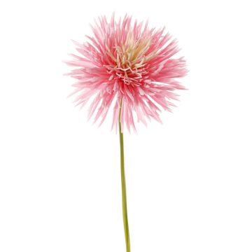 Crisantemo sintético NANDITA, rosa-crema, 60cm, Ø15cm Crisantemo sintético NANDITA, rosa-crema, 60cm, Ø15cm