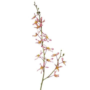 Rama de orquídea Cattleya artificial TRASSA, violeta-blanco-amarillo, 80cm, Ø4-8cm