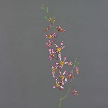 Rama de orquídea Cattleya artificial TRASSA, violeta-blanco-amarillo, 80 cm, Ø 4-8 cm