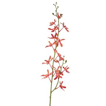 Rama de orquídea Cattleya sintética TRASSA, rojo-naranja, 80cm, Ø4-8cm Rama de orquídea Cattleya sintética TRASSA, rojo-naranja, 80cm, Ø4-8cm