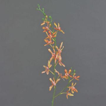 Rama de flores artificial de orquídea Cattleya TRASSA, naranja-amarillo-rojo, 80 cm, Ø 4-8 cm
