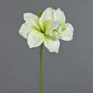 Amarilis artificial NARWELA, blanco-verde, 70 cm, Ø 10-13 cm Amarilis artificial NARWELA, blanco-verde, 70 cm, Ø 10-13 cm