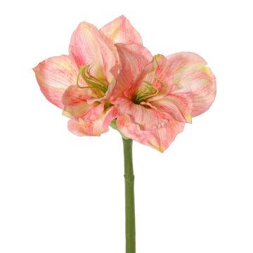 Amarilis artificial NARWELA, rosa, fucsia-rosa-crema, 70cm, Ø10-13cm Amarilis artificial NARWELA, rosa, fucsia-rosa-crema, 70cm, Ø10-13cm