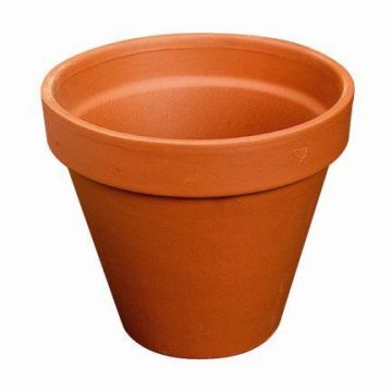 Macetero de terracota DUNARI, 47cm, Ø53cm Macetero de terracota DUNARI, 47cm, Ø53cm
