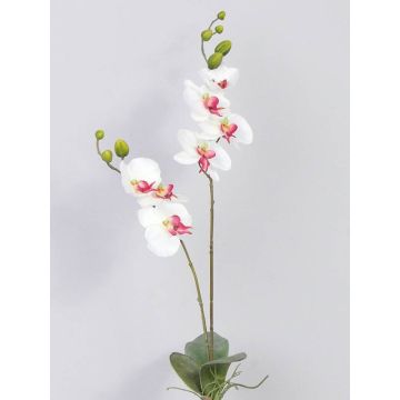 Orquídea Phalaenopsis artificial NAARA, con varilla, blanco-fucsia, 75cm Orquídea Phalaenopsis artificial NAARA, con varilla, blanco-fucsia, 75cm