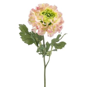 Ranúnculo artificial ULISAN, rosa-verde, 60 cm, Ø 14 cm Ranúnculo artificial ULISAN, rosa-verde, 60 cm, Ø 14 cm