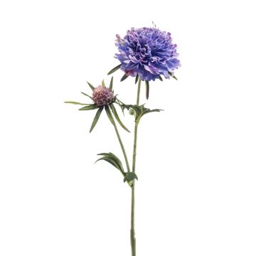 Rama artificial de escabiosa BASOLO, azul-lila, 55 cm