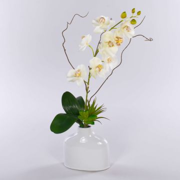Flor artificial, orquídea Phalaenopsis TIALDA, suculentas, jarrón de cerámica, blanco, 50 cm