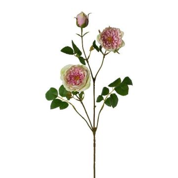Rama artificial de peonía KROVEL, verde-rosa, 75 cm Rama artificial de peonía KROVEL, verde-rosa, 75 cm