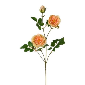 Rama artificial de peonía KROVEL, albaricoque, 75 cm Rama artificial de peonía KROVEL, albaricoque, 75 cm