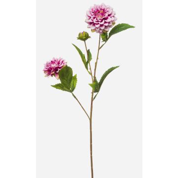 Rama artificial de dalia CEVAST, lila y crema, 70 cm, Ø 7-8 cm Rama artificial de dalia CEVAST, lila y crema, 70 cm, Ø 7-8 cm
