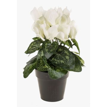 Flor artificial de ciclamen HEIDI en maceta decorativa, color crema, 25 cm, Ø 5-8 cm Flor artificial de ciclamen HEIDI en maceta decorativa, color crema, 25 cm, Ø 5-8 cm