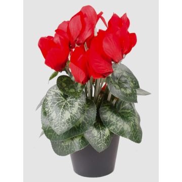Flor artificial de ciclamen HEIDI en maceta decorativa, rojo, 25 cm, Ø 5-8 cm Flor artificial de ciclamen HEIDI en maceta decorativa, rojo, 25 cm, Ø 5-8 cm