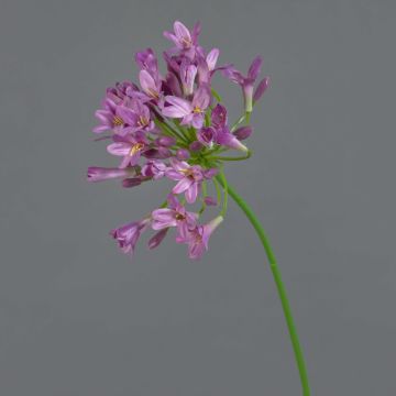 Agapanthus de plástico PHILINA, violeta, 75cm, Ø14cm