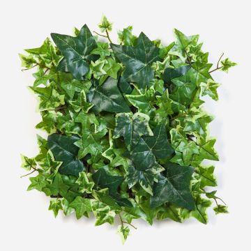 Planta decorativa de hiedra (seto/esterilla) LUKA, verde y blanco, 30 x 30 cm Planta decorativa de hiedra (seto/esterilla) LUKA, verde y blanco, 30 x 30 cm