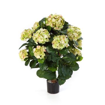 Hydrangea artificial HARUKA sobre tallo, verde, 60cm, Ø9-16cm