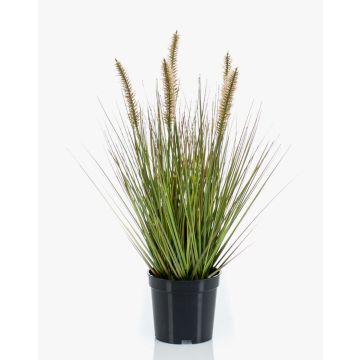 Planta artificial de hierba «Federborstengras» YWAIN con panículas, verde-beige, 45 cm