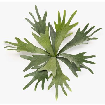 Planta artificial de helecho ramificado VIGRAL, con varilla, difícilmente inflamable, verde, 35cm Planta artificial de helecho ramificado VIGRAL, con varilla, difícilmente inflamable, verde, 35cm