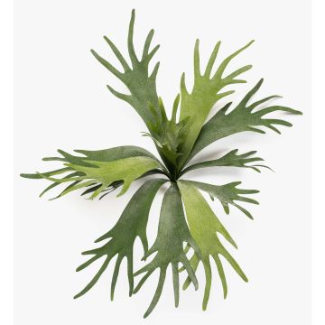 Planta artificial de helecho de cuernos VIGRAL, con varilla, difícilmente inflamable, verde, 50cm Planta artificial de helecho de cuernos VIGRAL, con varilla, difícilmente inflamable, verde, 50cm