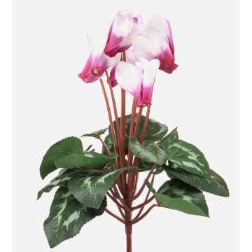 Ciclamen artificial VERIANA con varilla, blanco-fucsia, 30cm