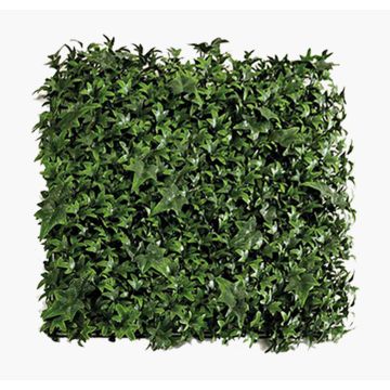 Esterilla de plantas artificiales / seto de hiedra ANKA, crossdoor, verde, 50 x 50 cm