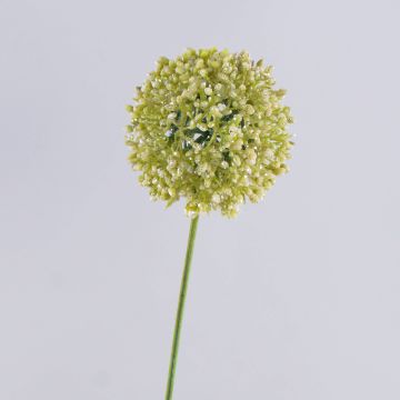 Allium artificial HELLA, purpurina, verde crema, 75 cm, Ø 11 cm Allium artificial HELLA, purpurina, verde crema, 75 cm, Ø 11 cm